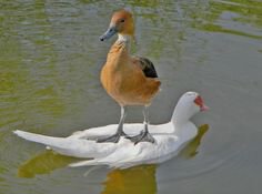 4b0ac5ca68622fa81e84145cffc53f1b.thumb.j