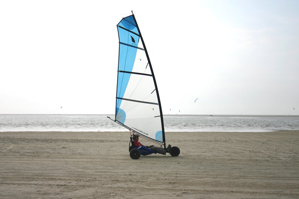 BeachRunner2.thumb.jpg.a44bcee1ea9e23c70