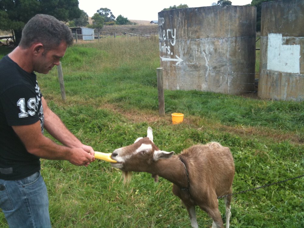 IMG_0353.thumb.jpg.7cd25e88b3bc032bcacad