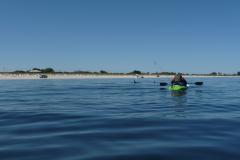Kayak and dolphins