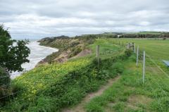 Clifton Springs Reserve cliffs