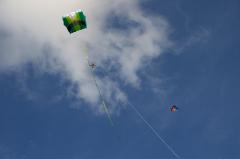 HQ Kapfoil and picavet mount