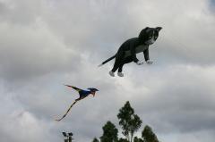 Teradactly-and-kitty