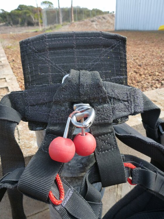 P1050301_(768x1024).thumb.jpg.2ba5160586