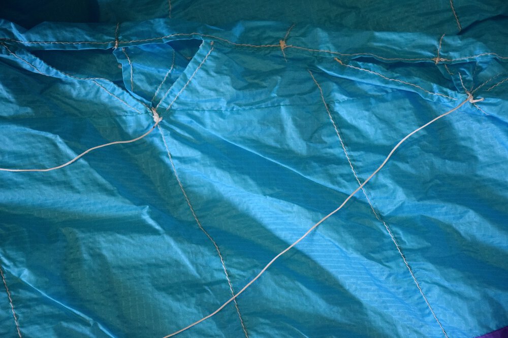 peter_lynn_ngen_laid_out_004.thumb.jpg.e