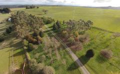 Looking down the driveway