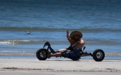 Mad Italian in my buggy.