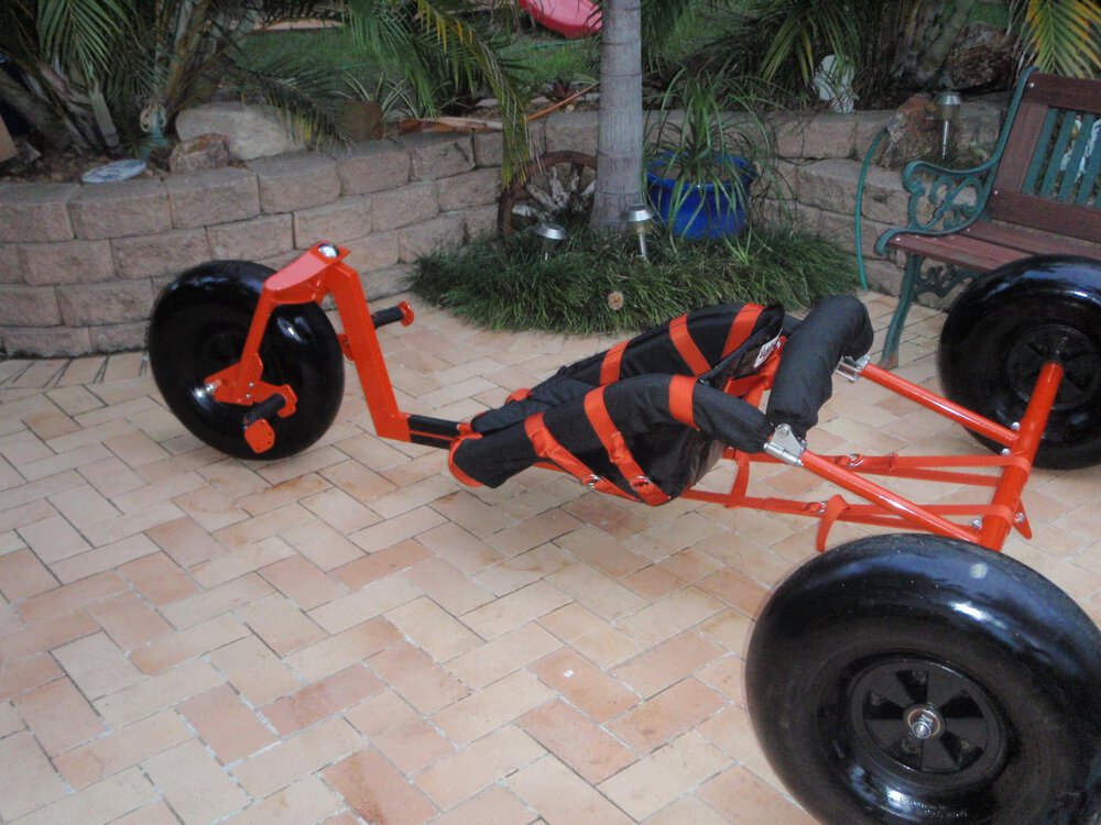 Wolfie2buggy.jpeg