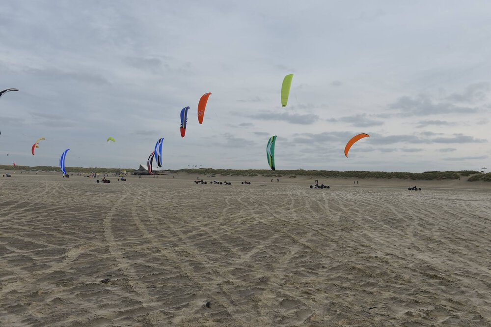 closed-cell-mix-007.thumb.jpg.cd5b8990ee