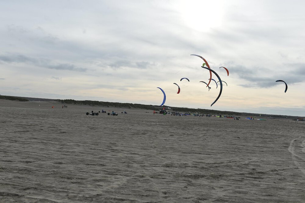 closed-cell-mix-009.thumb.jpg.b36aa02159