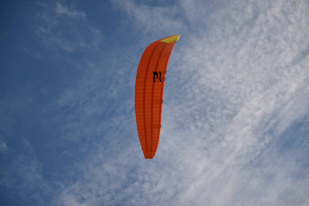 elf001.thumb.jpg.d09a69ccec3ff3f01ee6903