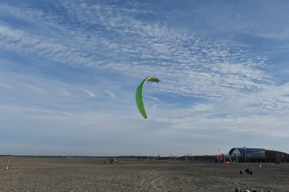 elf002.thumb.jpg.e043a0e19a441dd51c54c56