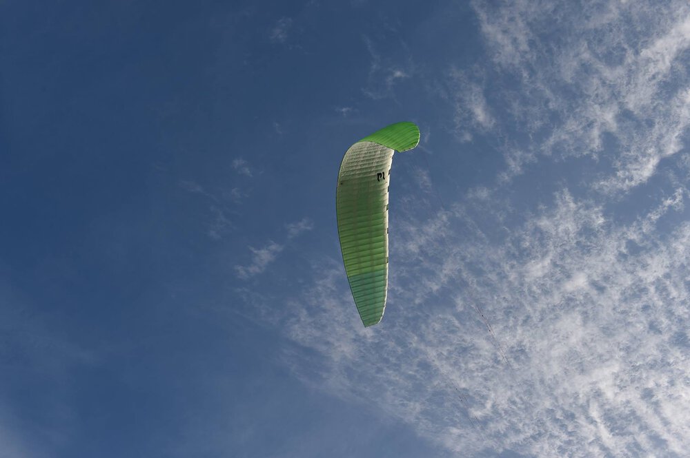 elf004.thumb.jpg.b936ac2cbbd02924d612bc2