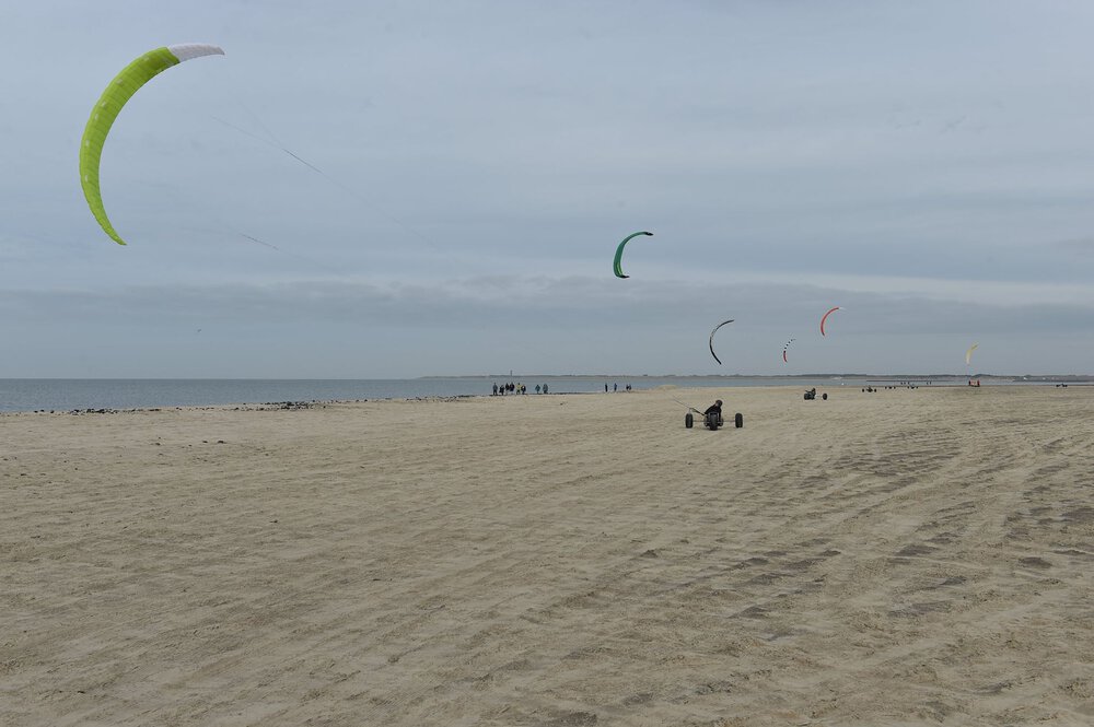 ozone-006.thumb.jpg.d9ee9f6755d602906c44