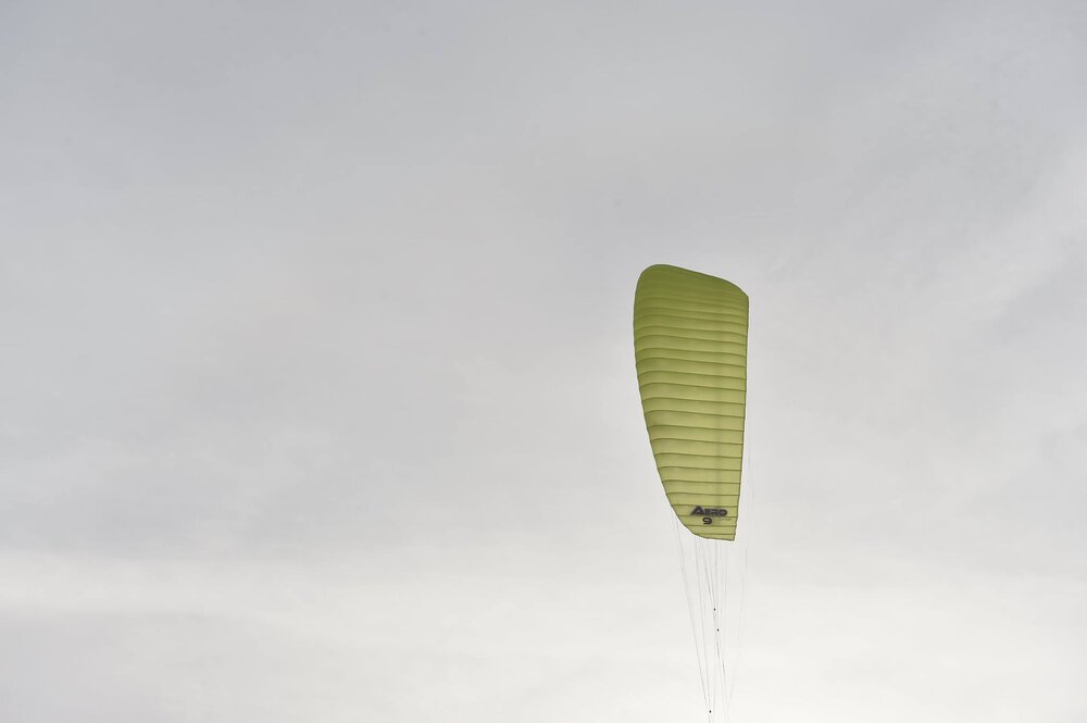 peter_lynn_004.thumb.jpg.7c4984cb773987d