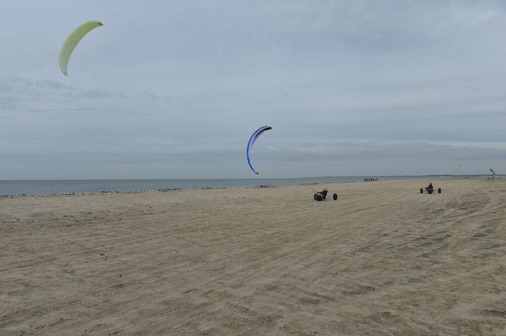 peter_lynn_005.thumb.jpg.6c4d00b89d9e8e5