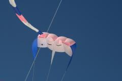 day1 adelaide kite festivalIMG_1654.jpg