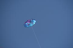 day1 adelaide kite festivalIMG_1655.jpg