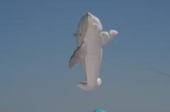 day1 adelaide kite festivalIMG_1657.jpg