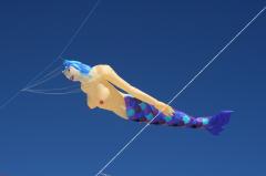 day1 adelaide kite festivalIMG_1658.jpg