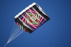 day1 adelaide kite festivalIMG_1660.jpg