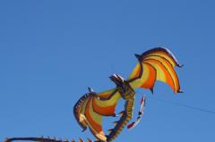 day1 adelaide kite festivalIMG_1661.jpg