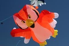 day1 adelaide kite festivalIMG_1671.jpg