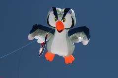 day1 adelaide kite festivalIMG_1673.jpg