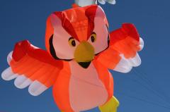 day1 adelaide kite festivalIMG_1674.jpg