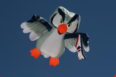 day1 adelaide kite festivalIMG_1675.jpg