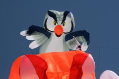 day1 adelaide kite festivalIMG_1679.jpg