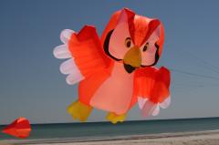 day1 adelaide kite festivalIMG_1680.jpg