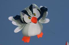 day1 adelaide kite festivalIMG_1684.jpg