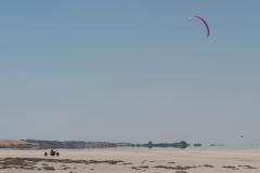 GT, Peter Lynn Viper 5.3