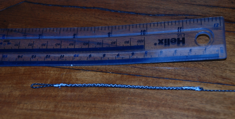 Bridle3.jpg.825501171bef8be9edfdf807edac