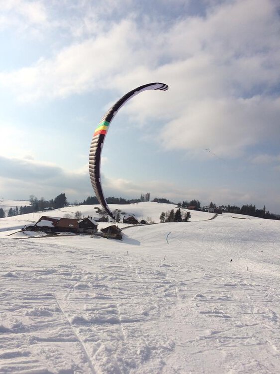 pkd_inferno.thumb.jpg.aaf760b7df9b9bd259