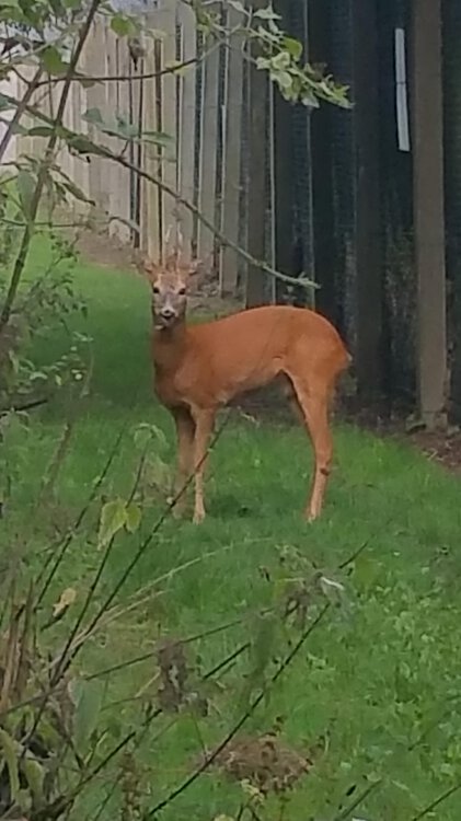 20150825_095206.jpg