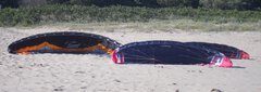 Inflated Kites.jpg