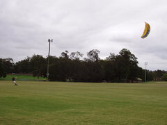 03 Meadowbank Park Dec 2007.JPG