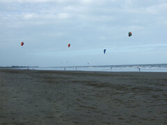 Kites at Main Beach Yeppoon.jpg