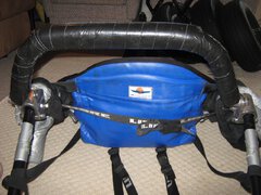 Buggy Backrest 008.jpg