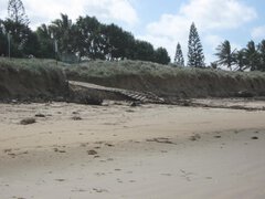 Bangalee 25-5-09 001_1280x960.jpg