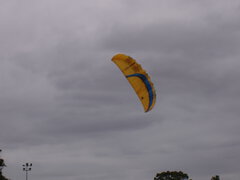 05 Meadowbank Park Dec 2007.JPG