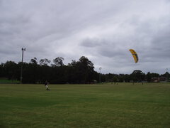 01 Meadowbank Park Dec 2007.JPG