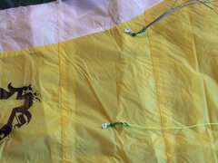 Cult 45 Bridle 1.jpg