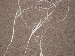 Pansh Sprint 007_1280x960.jpg