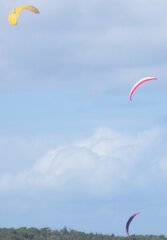 3 Kites.jpg