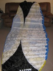 Peter_Lynn_Reactor_6_4m 039_1280x960.jpg