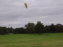 06 Meadowbank Park Dec 2007.JPG
