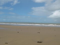 Bangalee 25-5-09 006_1280x960.jpg